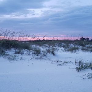 Meet your Posher, Liz